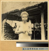 藏品(婦人像)的圖片